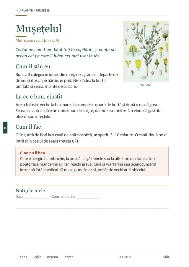 Pagina 160: mușețelul